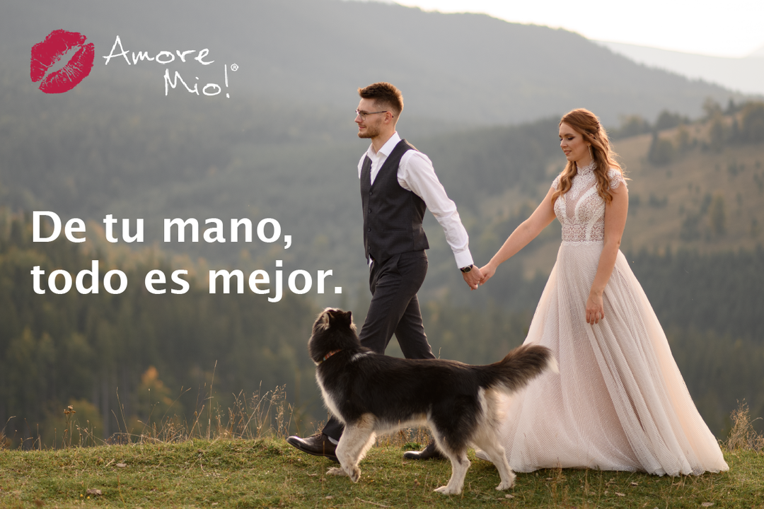 MASCOTAS EN LAS BODAS