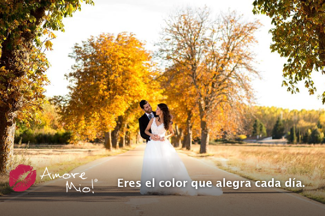 COLORS FOR A FALL WEDDING 