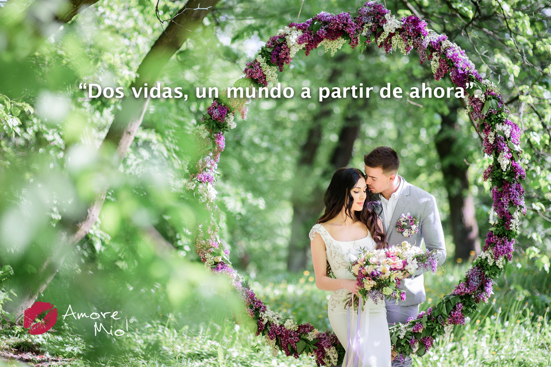 ¿Quieres lograr una buena selfie? Aquí te decimos cómo.