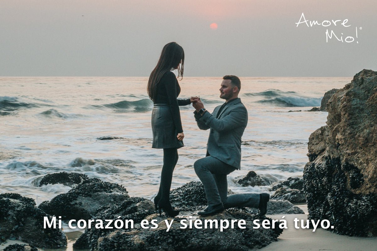 Dar el anillo de compromiso.
