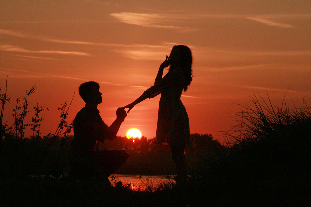 La propuesta perfecta.