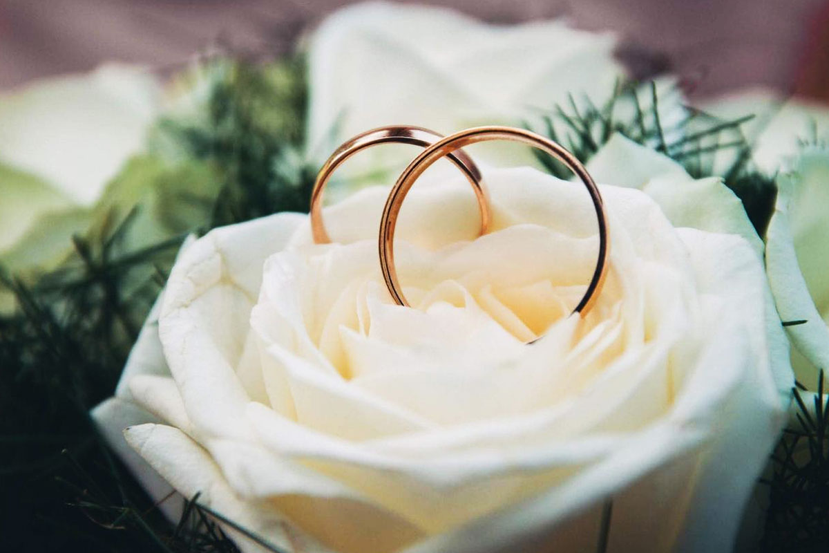 La presencia de las argollas en el cine y la literatura.