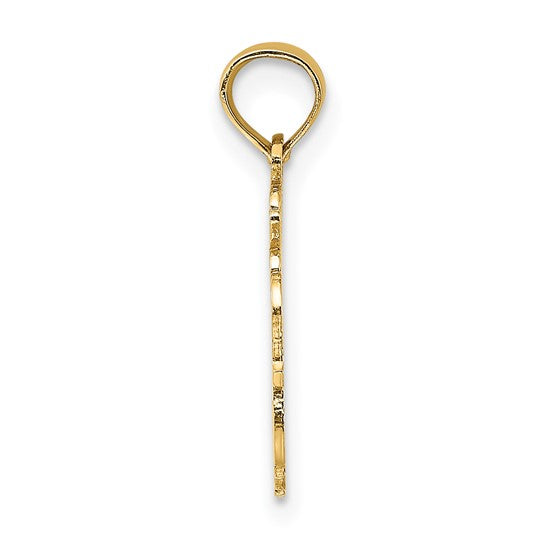 Dije Zodiacal "100% ACUARIO" en Oro