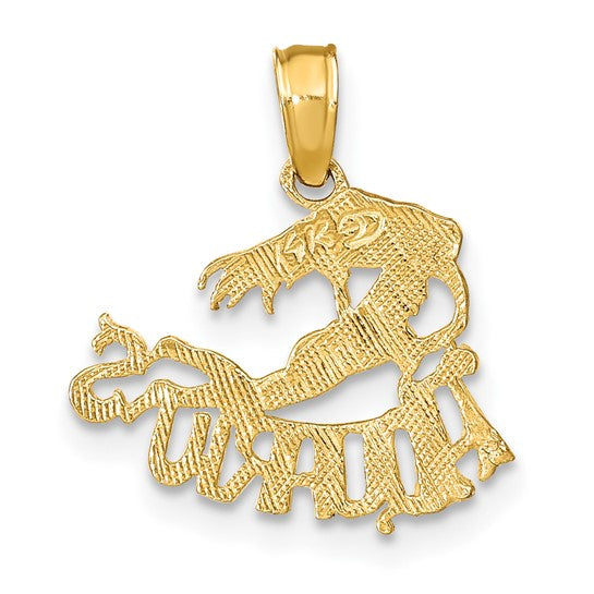 Dije Zodiacal "ACUARIO" en Oro