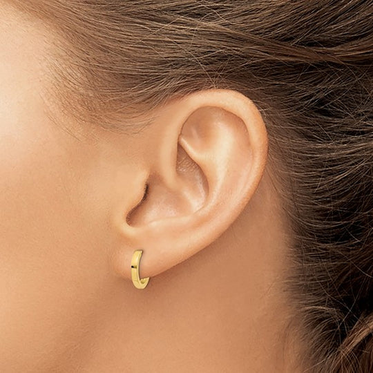 10k Yellow Gold Hinged Hoop Earrings