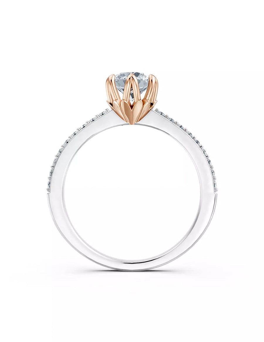 Anillo de Compromiso - pavé - AMORE551-RD-CZ