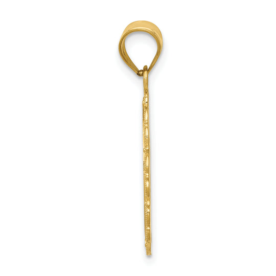 Aries Pendant in 14k Yellow Gold with Satin and Polished Finish