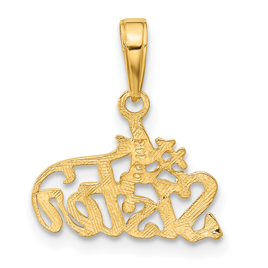 Colgante 14K