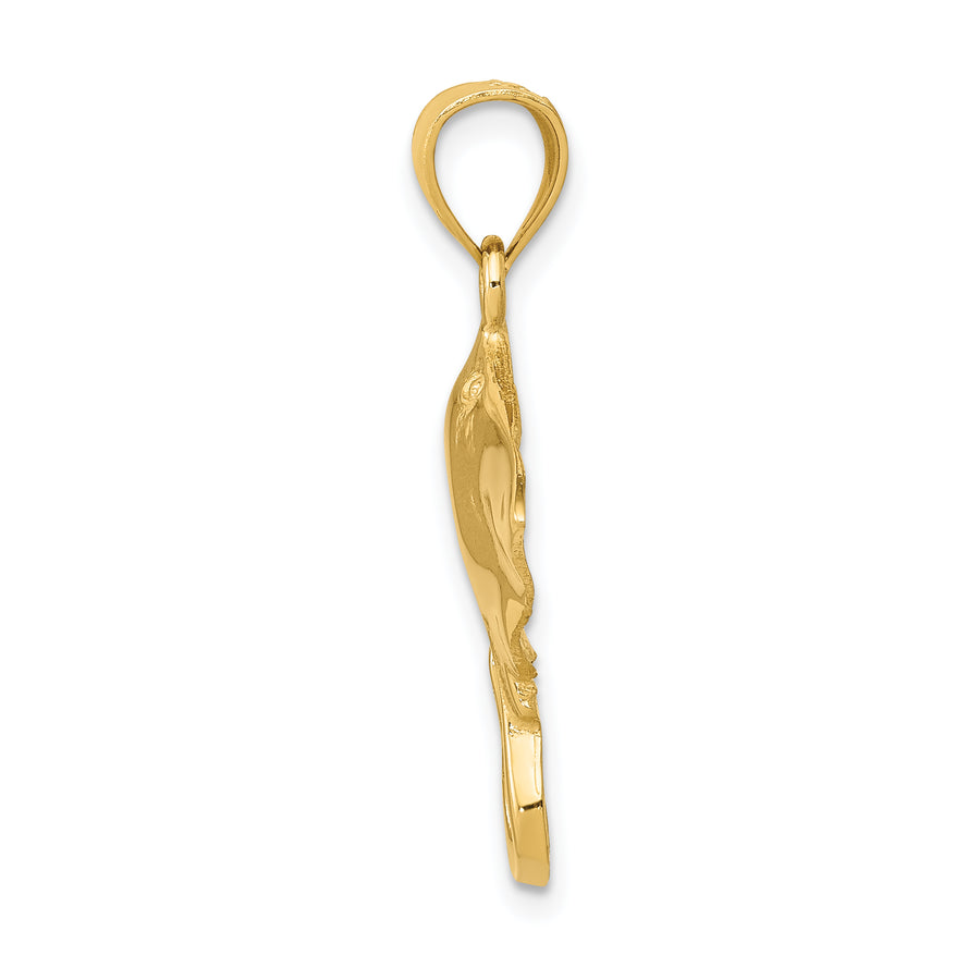 Colgante Raya en Oro Amarillo de 14K