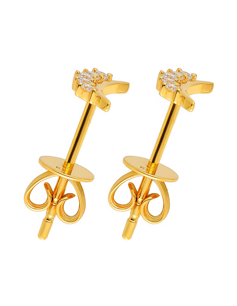 Aretes con Piedras Laterales