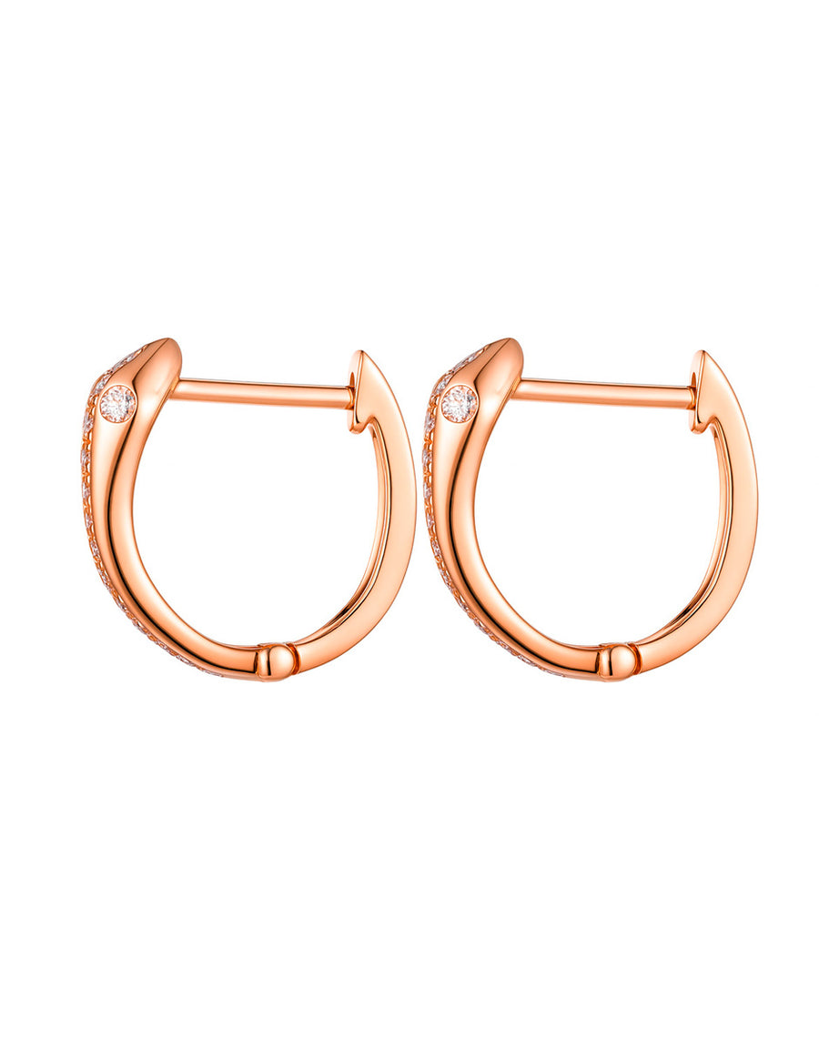 Arracadas con Pavé