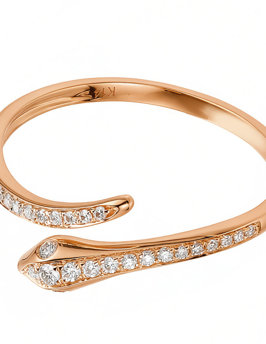 Anillo con Pavé