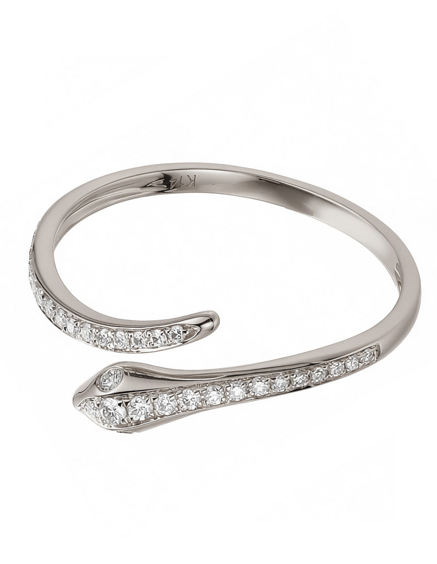 Anillo con Pavé