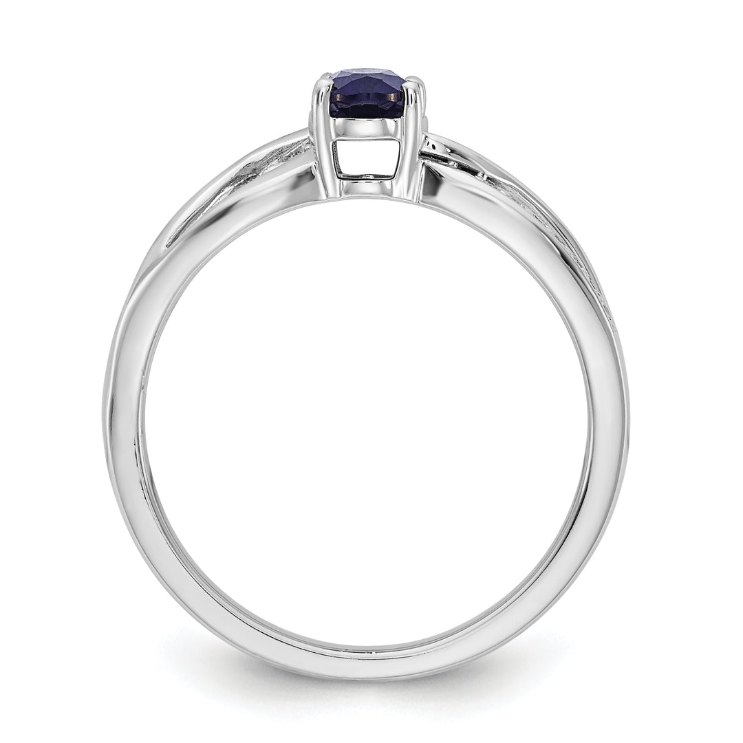 Sapphire and Diamond Ring in Polished 14k White Gold