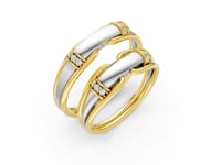 #metal_bicolor