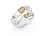 #metal_bicolor