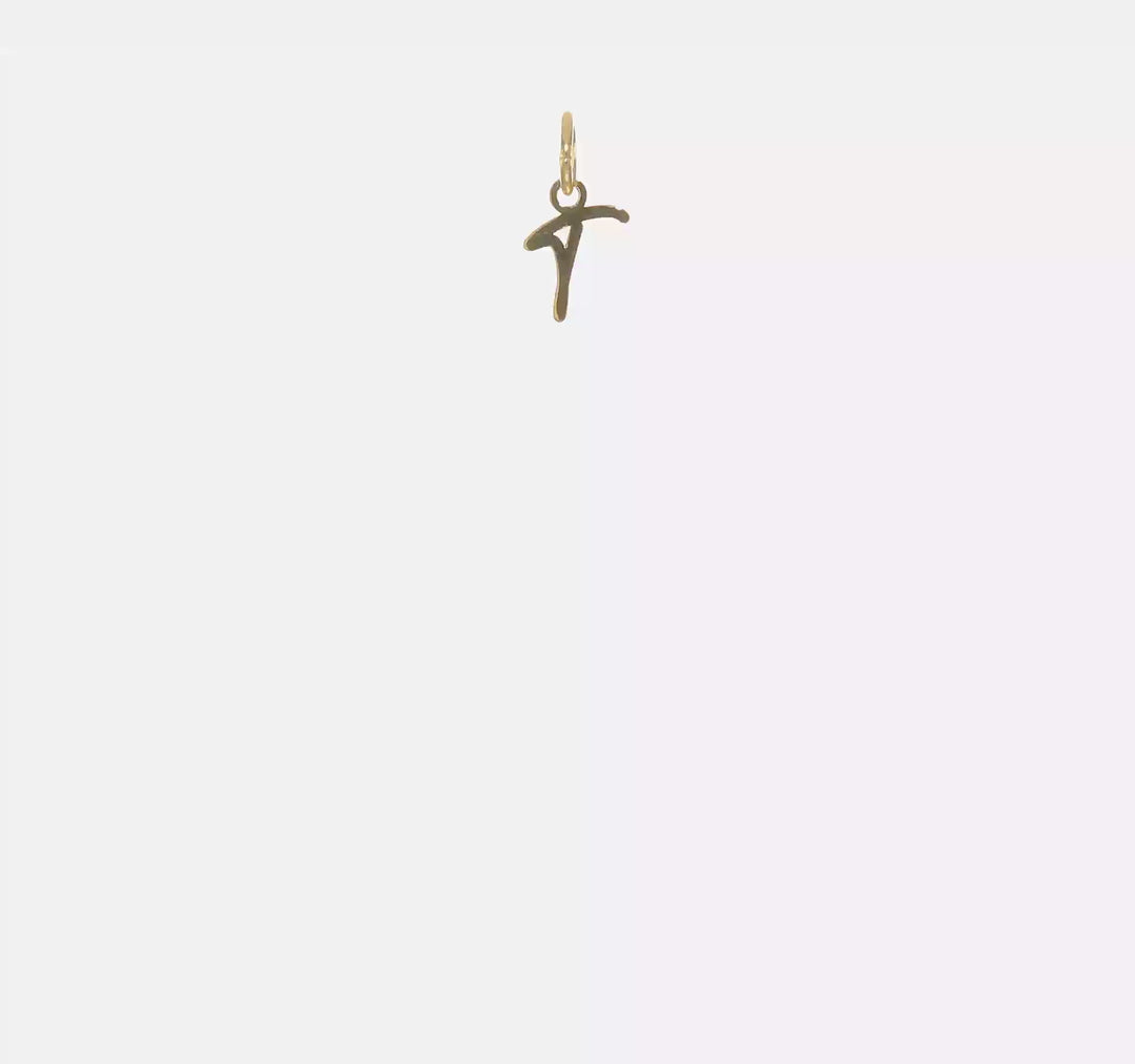 14k Yellow Gold Initial "T" Pendant (Lowercase Letter)
