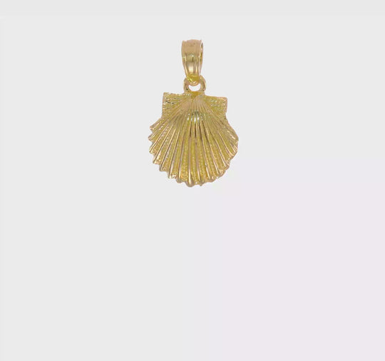 14k Escallop Shell Pendulum