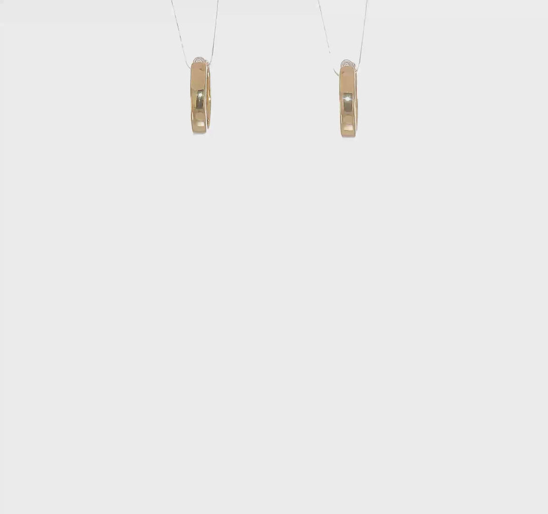 10k Yellow Gold Hinged Hoop Earrings