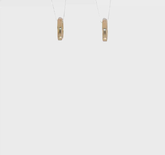 10k Yellow Gold Hinged Hoop Earrings