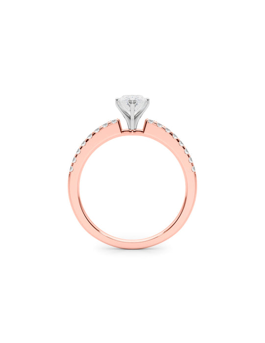 #color_rosa