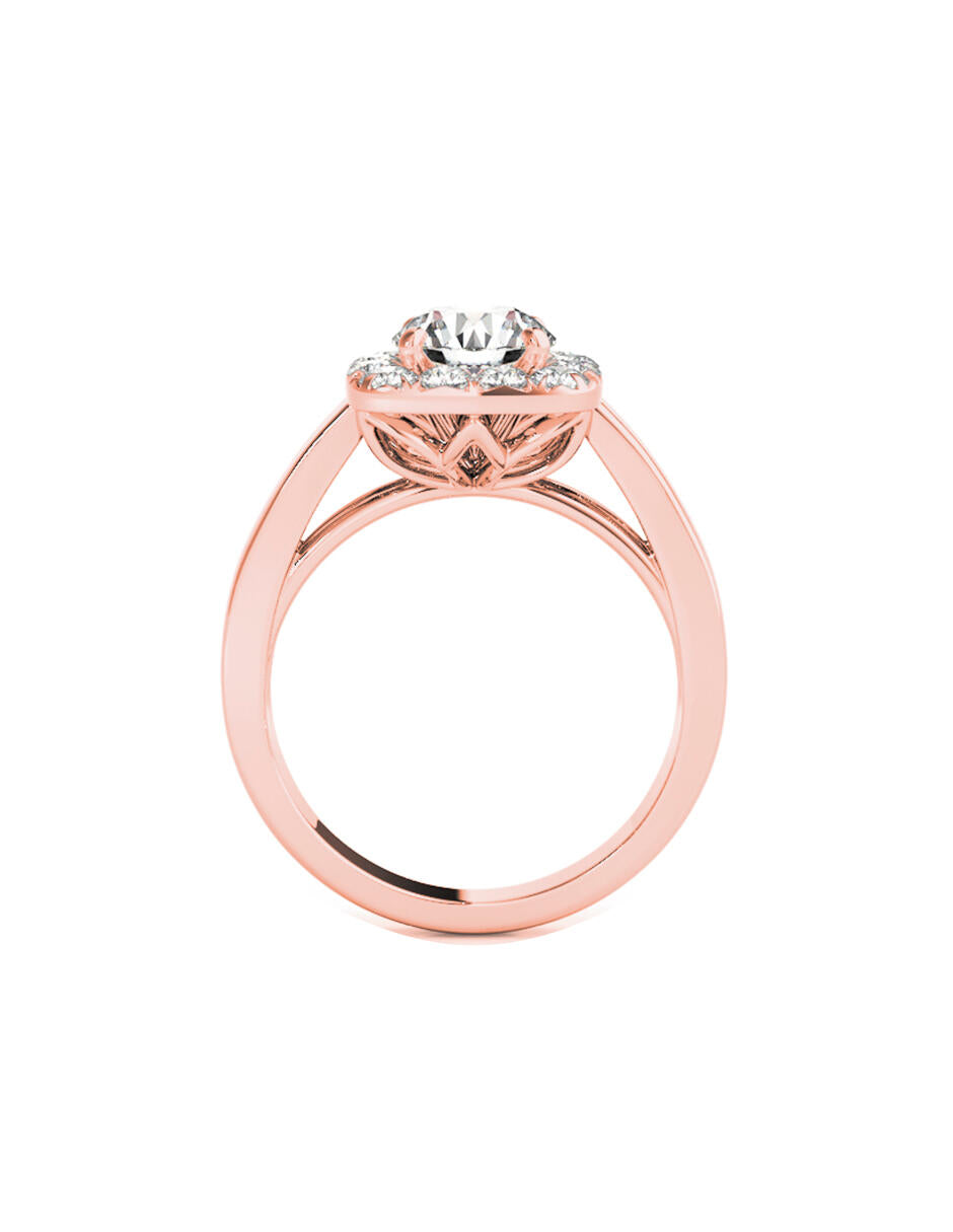 #color_rosa